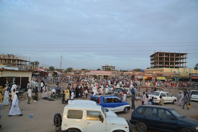 00-3-1721479974.jpg