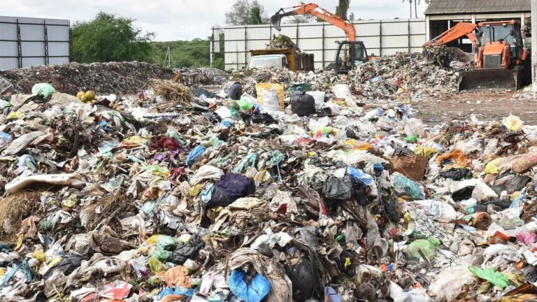6702_19_6_2025_19_51_5_1_WASTE.JPG