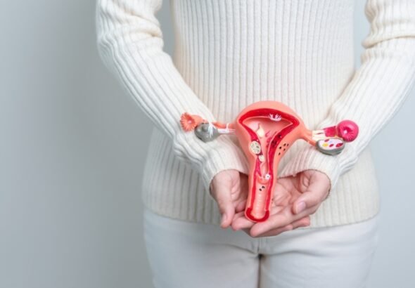 Adenomyosis__1742298798166_1750085815595.jpg