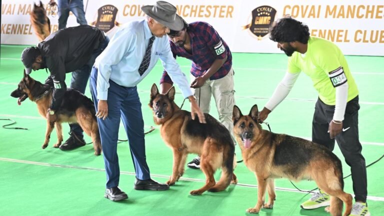 Dog20Show201.jpg