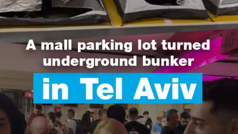 EN-Thumbnail.jpg