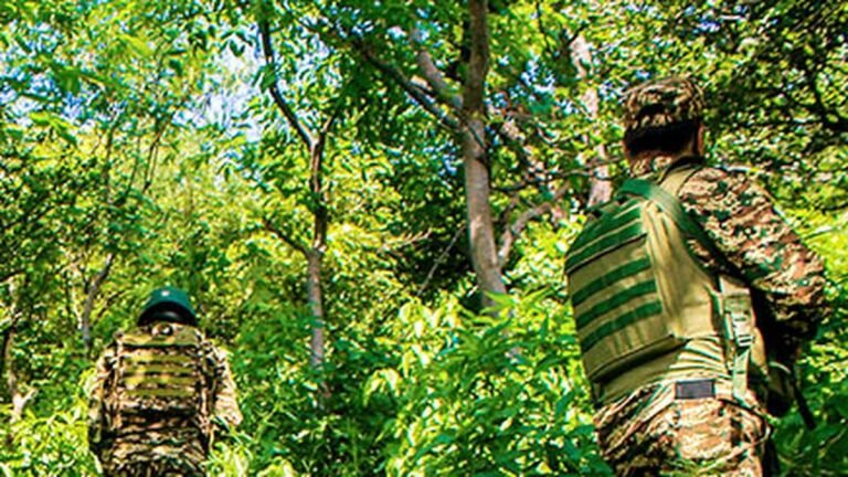 IMG_A_search_operation_i_2_1_DCD6J1BD.jpg