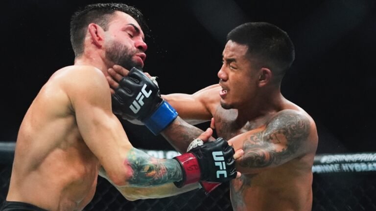 Joshua-Van-punches-UFC-opponent.jpg