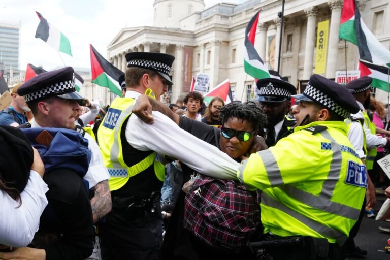 Palestine-Action-ban-25zzxyoy.jpeg