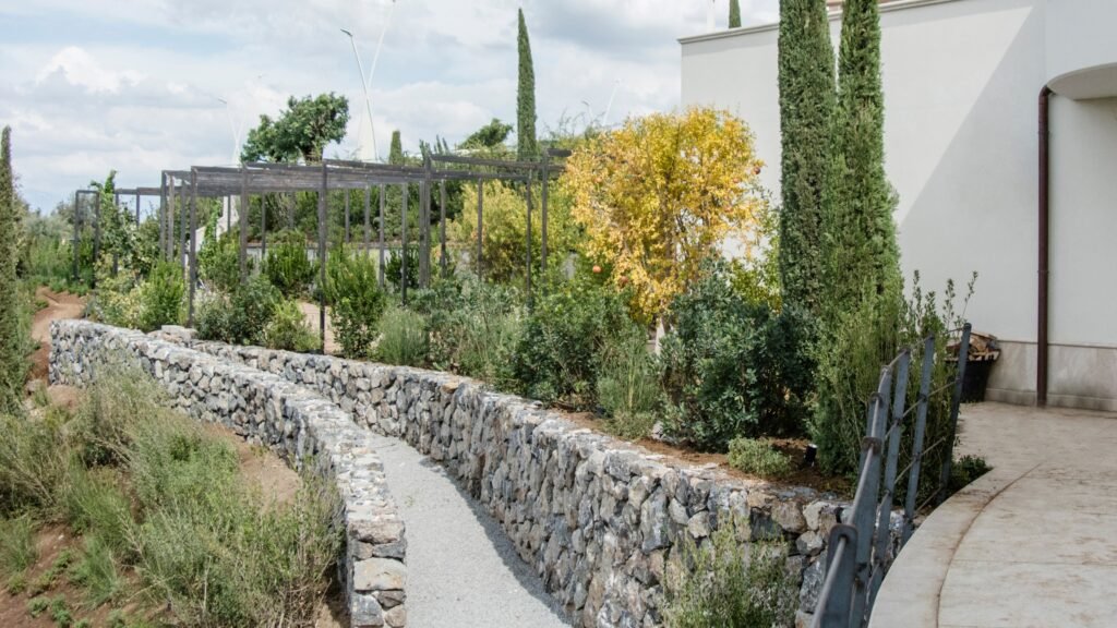 Poggio-Le-Volpi-_2018_indoor-barrique-2.jpg