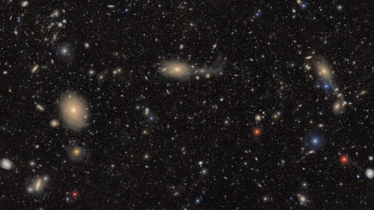 SCI_1_-_F_1750747805109.jpg