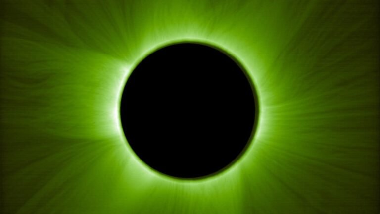 SCI_1_-_F_1750860940988.jpg