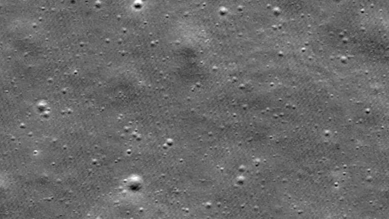 SCI_4_-_F_1750847213142.jpg