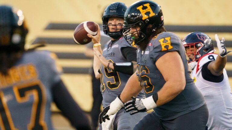Tiger-Cats.jpg