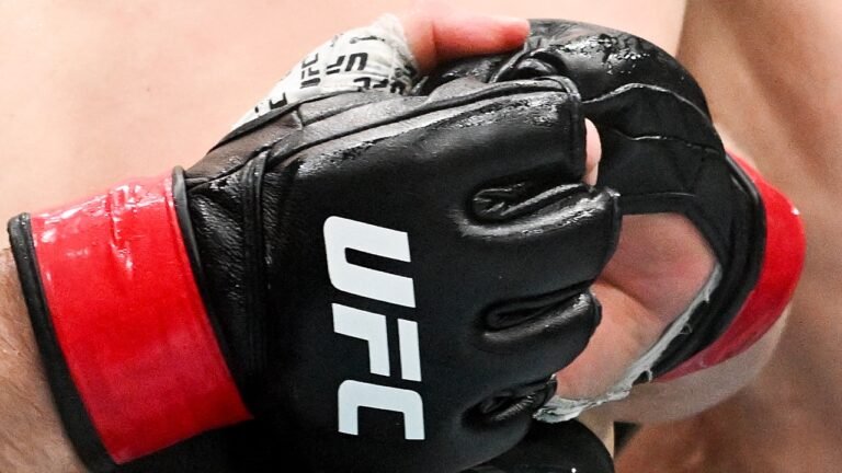 UFC-gloves-generic.jpg