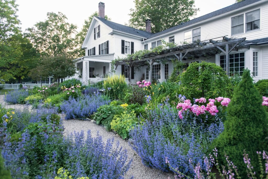 backyard-white-home-catmint-on-path-FHDAFVJ348h9H7coS7ET4T-c741a3cca5dd422391f84d430afc82bf.jpg