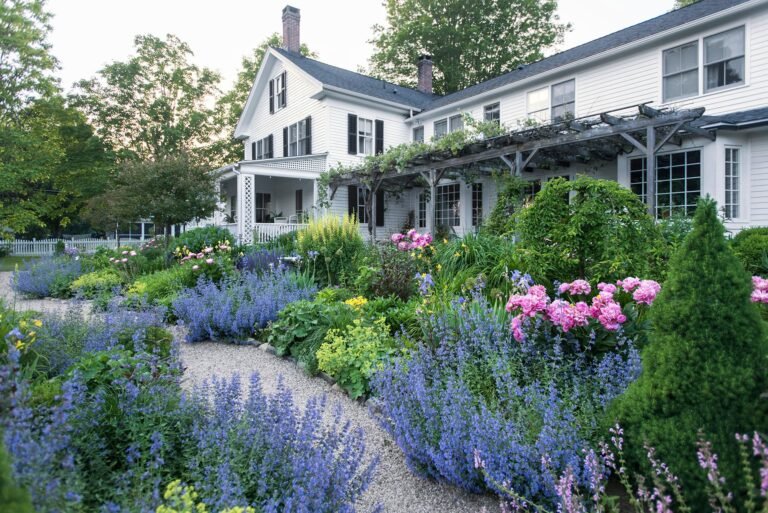 backyard-white-home-catmint-on-path-FHDAFVJ348h9H7coS7ET4T-c741a3cca5dd422391f84d430afc82bf.jpg
