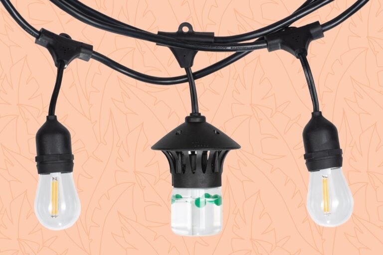 bhg-partnerships-qt-wayfair-mosquito-repelling-lights-tout-ddce15c98314457cb916feda6e3d0610.jpg