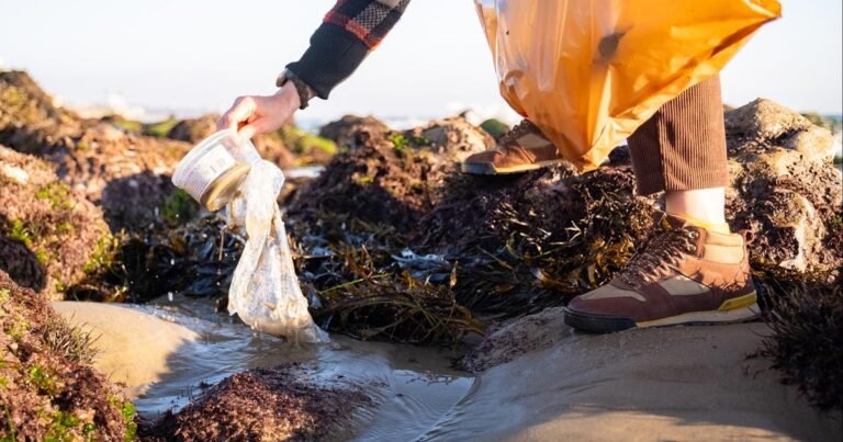cbsn-fusion-plastic-bag-regulations-significant-decrease-shoreline-litter-study-thumbnail.jpg
