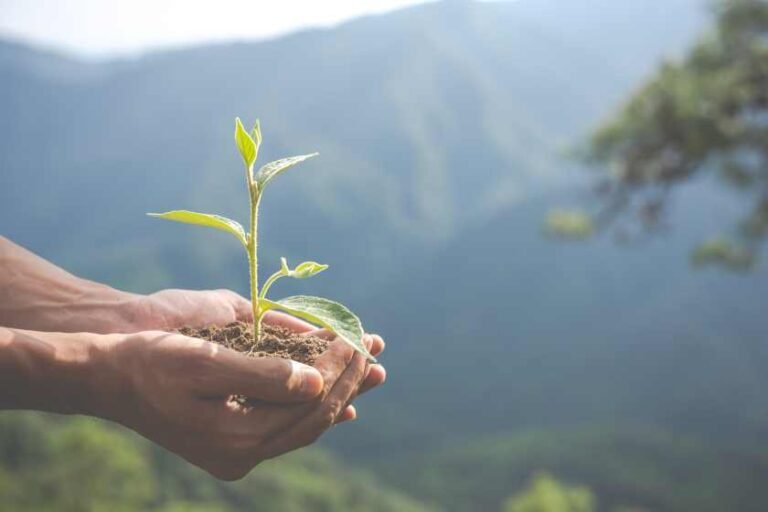 environmental-conservation-garden-children-2.jpg