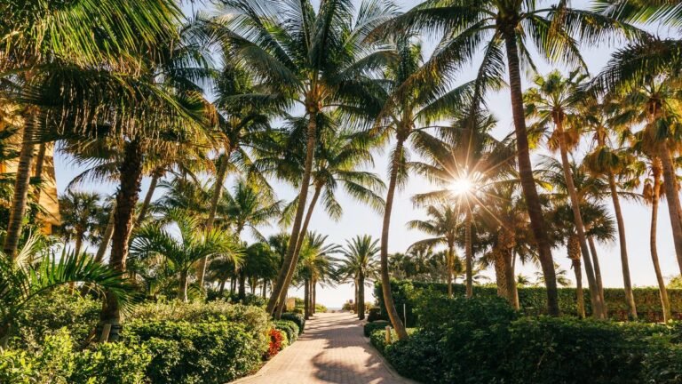 florida-gettyimages-1392098694.jpg
