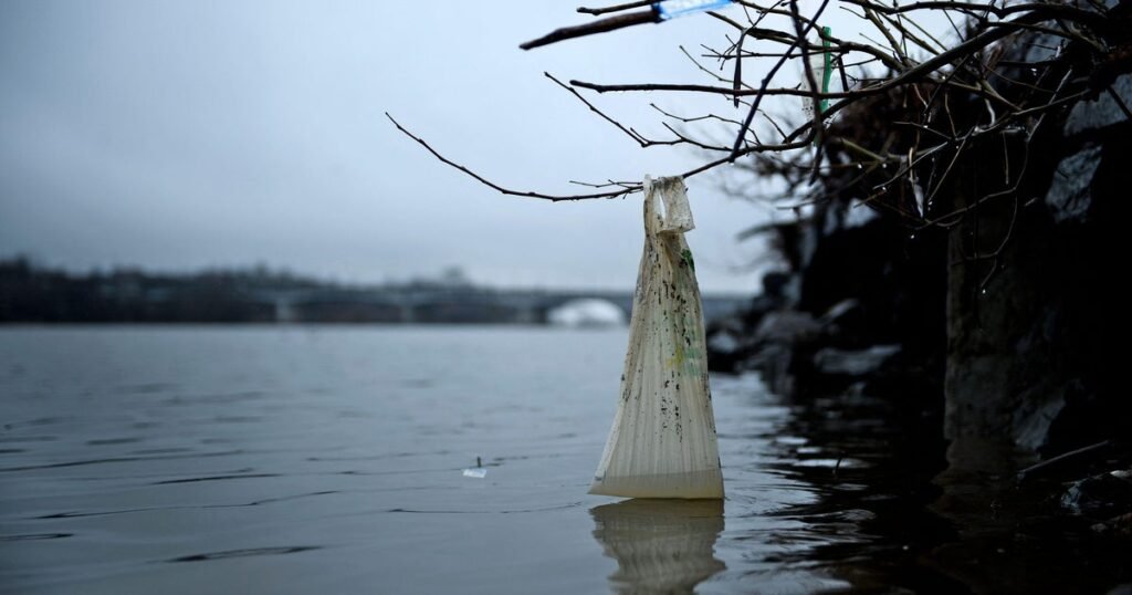 gettyimages-1131897048.jpg