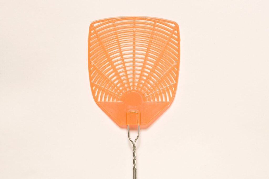 heat-brings-bugs-into-home-GettyImages-156912532-3e631c0445b04982a9bb80a0349a99f2.jpg