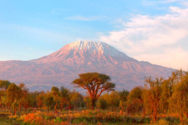 istockphoto-1081340142-612x612-2.jpg