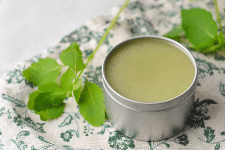 jewelweed-salve.png