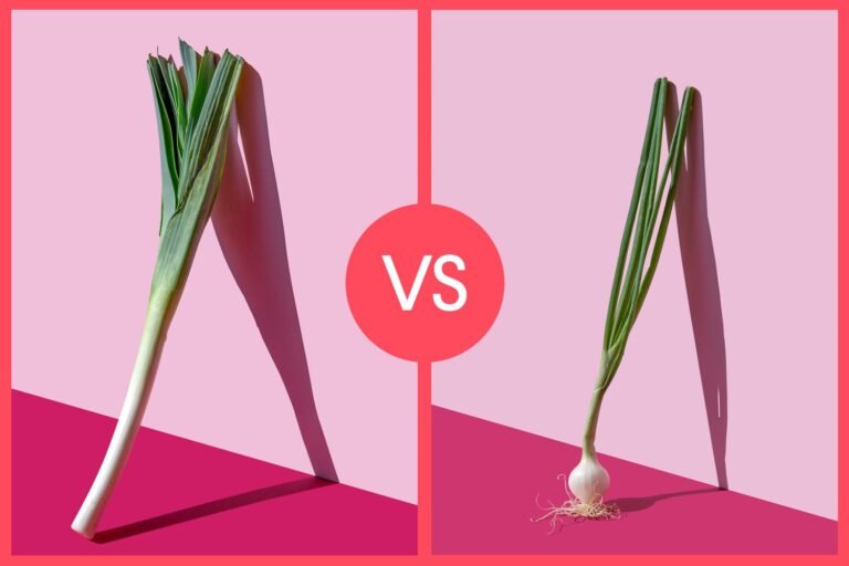 leeks-vs-green-onions-GettyImages-1250426311-f12d59ccae19459c959abc217a98d67e.jpg