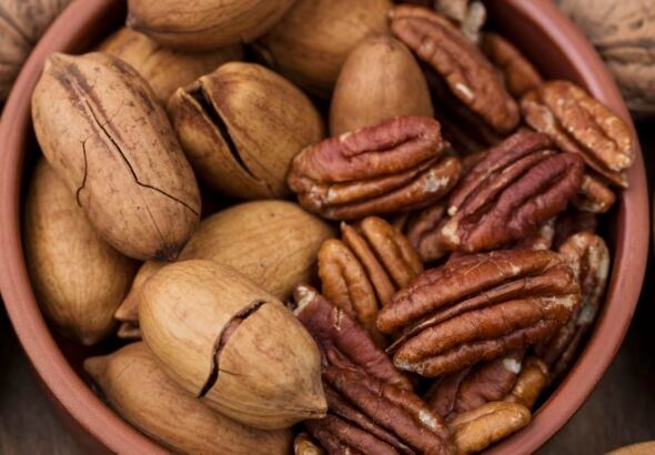 pecan_1750257344005_1750257344204.jpg