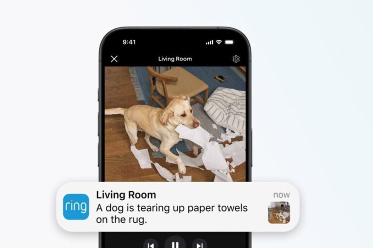 ring_video_descriptions_1750933085396.jpg