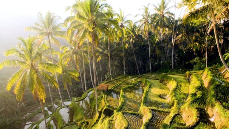 solo-vacations-Bali-GettyImages-175542163.jpg