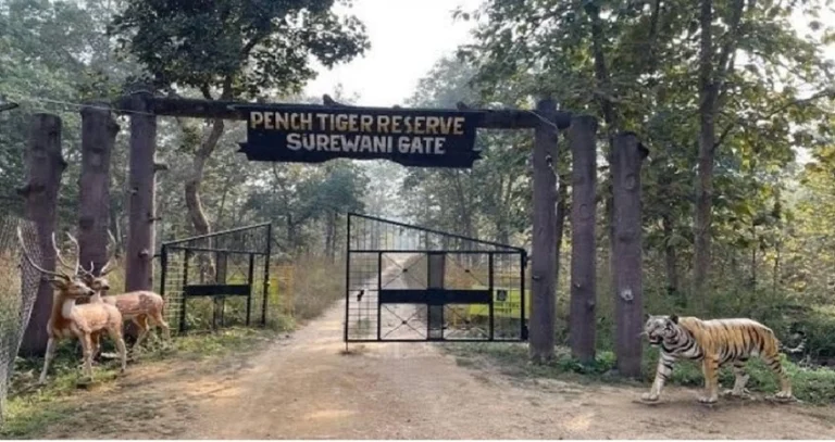 पेंच और ताडोबा